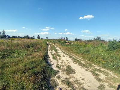 будинок за адресою с. Требухів, Мира