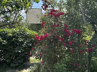 дом по адресу Винница, Бучмы ул.