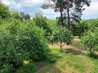 квартира по адресу с. Перше Травня, Рильського, 5