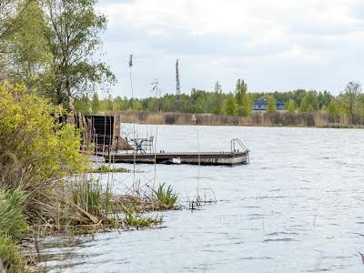 дом по адресу с. Вишенки, Центральна, 1