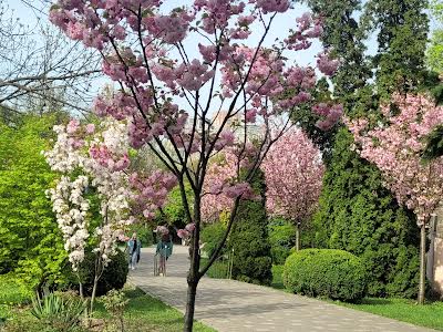 квартира за адресою Київ, Гетьмана Павла Скоропадського  вул. (Льва Толстого), 11/61