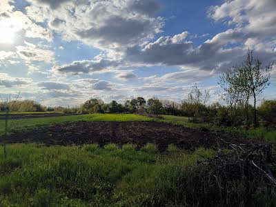 будинок за адресою с. Антонів, Першотравнева, 4