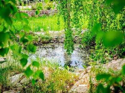 будинок за адресою с. Білогородка, чорнобильска