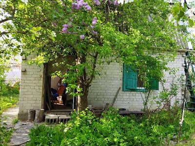 дом по адресу Янтарная ул., 10