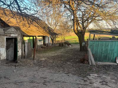 дом по адресу Васильківська, 27