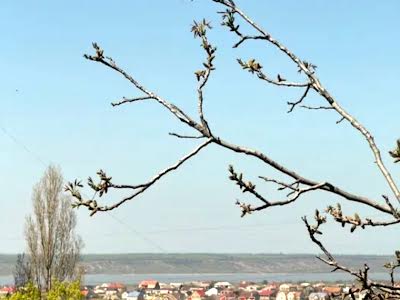 квартира по адресу Академика Заболотного ул., 22