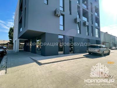 комерційна за адресою Олександра Митрака вул., 8а