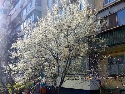 квартира за адресою Левка Лук'яненка вул. (Маршала Тимошенка), 2