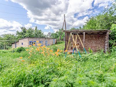 дом по адресу Старі санжари, 1