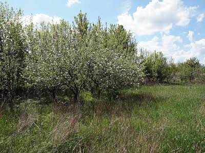 будинок за адресою с. Гореничі, Тепличная