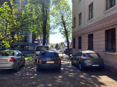 комерційна за адресою Володимира Великого вул., 5