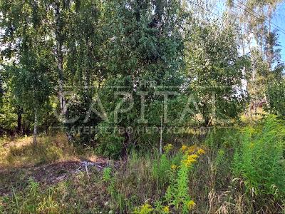 ділянка за адресою Вербицького, 1