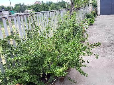 будинок за адресою Антона Вусика