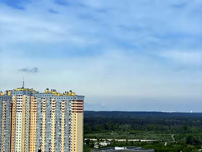 квартира по адресу Петра Калнишевського ул. (Михайла Майорова), 7
