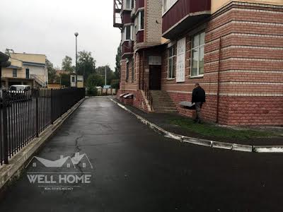 комерційна за адресою Шевченка вул., 10а