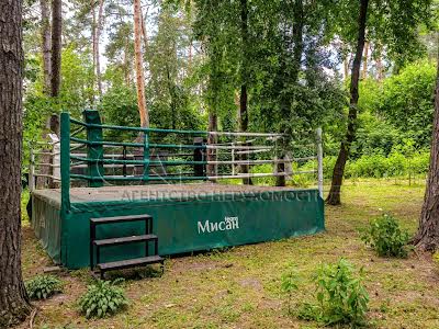 дом по адресу Вишгородський
