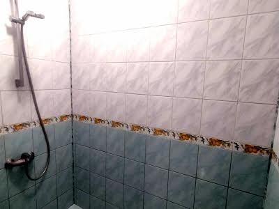 будинок за адресою Центральна вул., 11