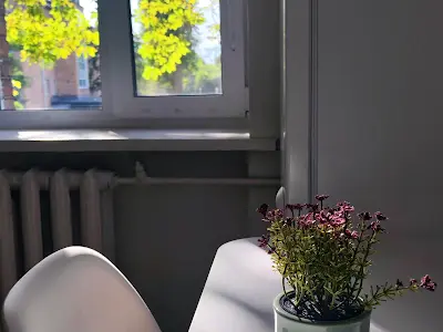 квартира по адресу Елены Телиги ул., 15
