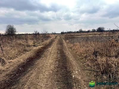 ділянка за адресою Вивізна вул.