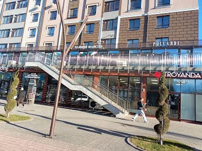 комерційна за адресою Володимира Великого вул., 12а
