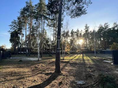 ділянка за адресою Сосновий Бір вул.