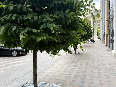 квартира по адресу Глубочицкая ул., 73