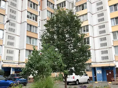 квартира за адресою Вишневе, Європейська вул., 34б