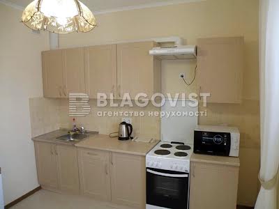 квартира за адресою Олени Пчілки вул., 3