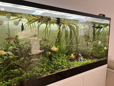 квартира за адресою Жилянська вул., 118