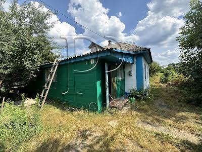 дом по адресу Каштанова вулиця, 1