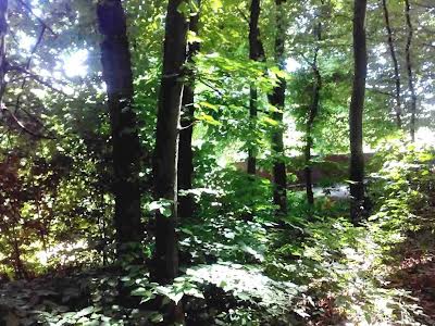 ділянка за адресою Бродівська КІЗ Городник  2 лінії, 51
