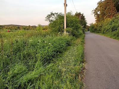 ділянка за адресою Ігнатія Лукасевича вул.