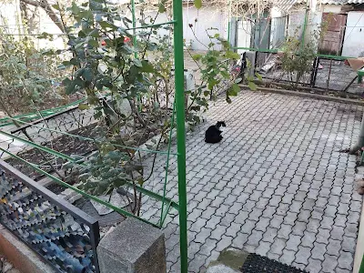 квартира по адресу Мясоедовская ул., 10