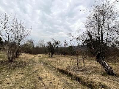 участок по адресу запасіка, 19