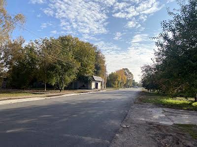 дом по адресу с. Великая Александровка, Київський Шлях