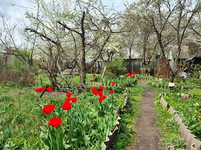 дом по адресу с. Пороскотень, Сонячна, 5