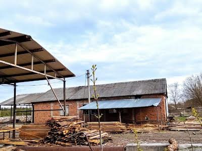 коммерческая по адресу дружби, 22