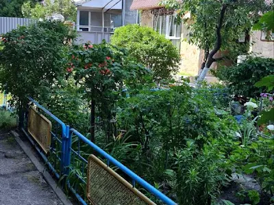 комерційна за адресою Миру просп., 4-А
