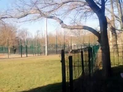 квартира по адресу Профспілкова, 9Асек1