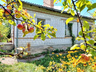 будинок за адресою с. Велика Солтанівка, Поліська, 28