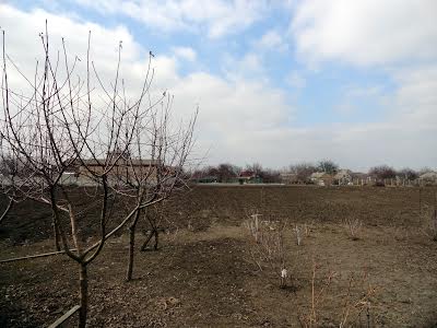 ділянка за адресою Підгородне, Кооперативна