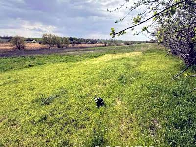 будинок за адресою Набережна вул.