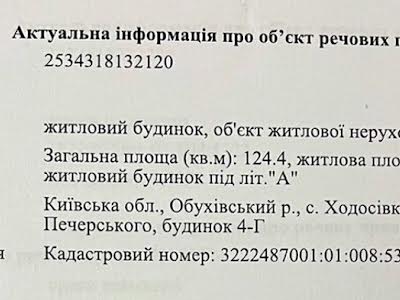 дом по адресу с. Ходосовка, пров.Феодосія Печерського, 4г