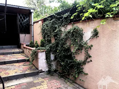 дом по адресу Тимирязева ул., 338