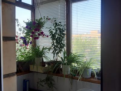 квартира за адресою Вереснева вул., 5