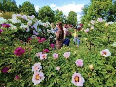 квартира за адресою Звіринецька вул., 65
