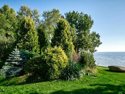 будинок за адресою с. Ясногородка, Шевченка
