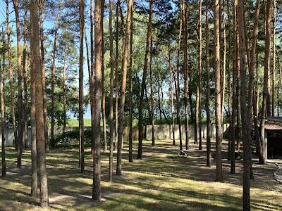 будинок за адресою с. Гавронщина, Жовтнева