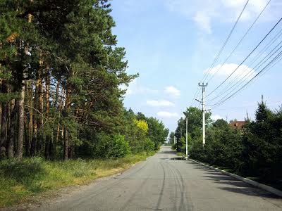 дом по адресу с. Петрушки, Лісова