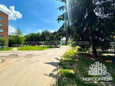 комерційна за адресою Грушевського, 51